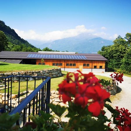 Agriturismo La Ca' D'Amelio Lessolo Kültér fotó