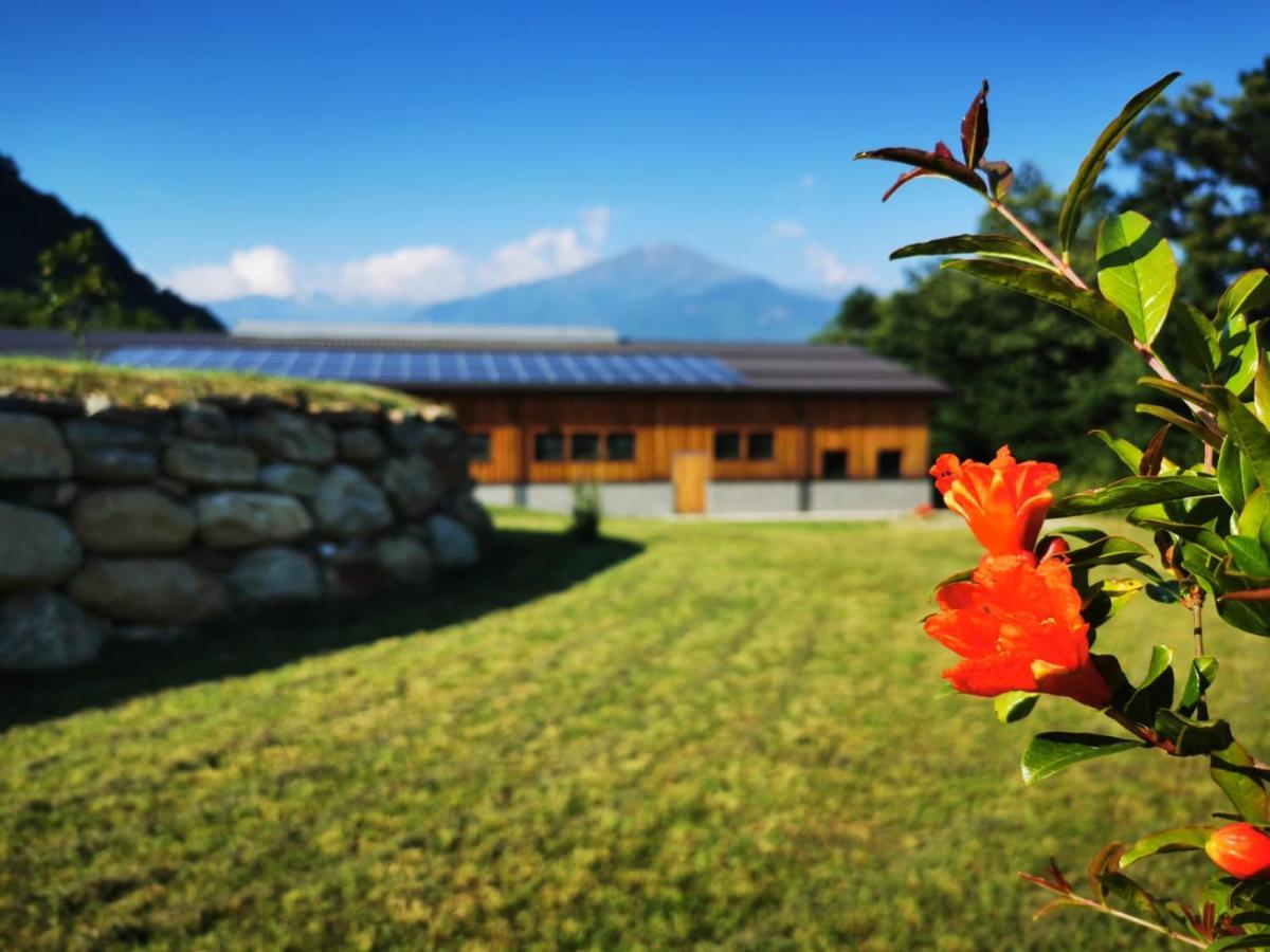 Agriturismo La Ca' D'Amelio Lessolo Kültér fotó